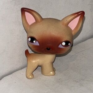 Littlest Pet Shop ~  LPS Chihuahua Dog #1  Hasbro Authentic Tan w Brown Eyes